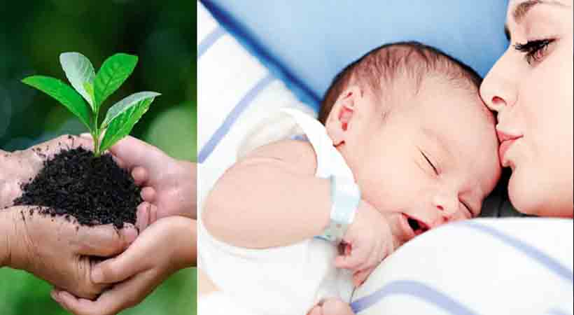 പ്രസവ ശേഷം വീട്ടിലേക്ക് മടങ്ങുന്ന അമ്മയ്ക്ക് വൃക്ഷതൈയും സൗജന്യ യാത്രയും സമ്മാനം, ജീവൻ പദ്ധതിക്ക് ലോകപരിസ്ഥിതി ദിനത്തിൽ തുടക്കം