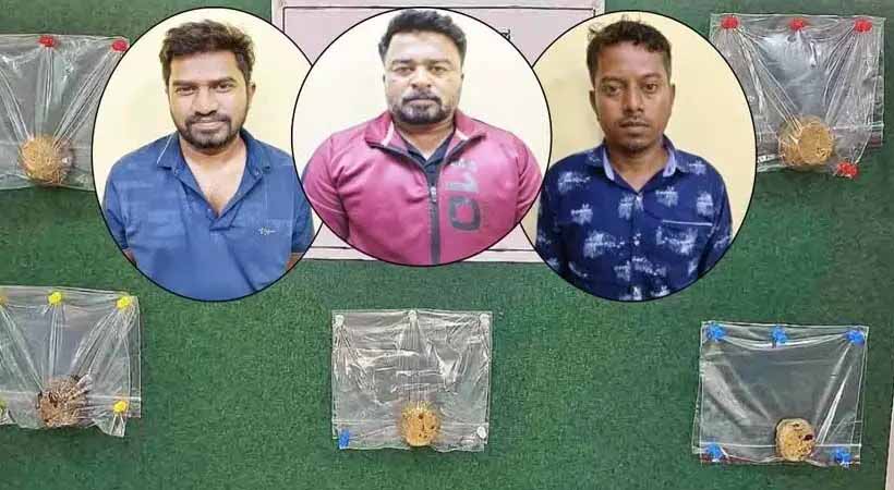 കാനറ ബാങ്കിൽനിന്ന് 53.26 കോടിയുടെ സ്വർണം തട്ടിയെടുത്ത കേസിൽ മാനേജർ ഉൾപ്പെടെ മൂന്നുപേർ അറസ്റ്റിൽ