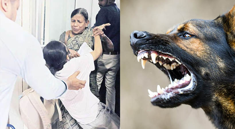 തെരുവ്‌നായക്കലിയിൽ കണ്ണൂരിൽ ഒരു പകൽ നീണ്ട പരിഭ്രാന്തി; 50 ലധികം പേർക്ക് കടിയേറ്റു; അക്രമകാരികളായ നായകളെ കൊല്ലാനുള്ള അധികാരം തദ്ദേശസ്ഥാപനങ്ങൾക്ക് നൽകണമെന്ന് മേയർ
