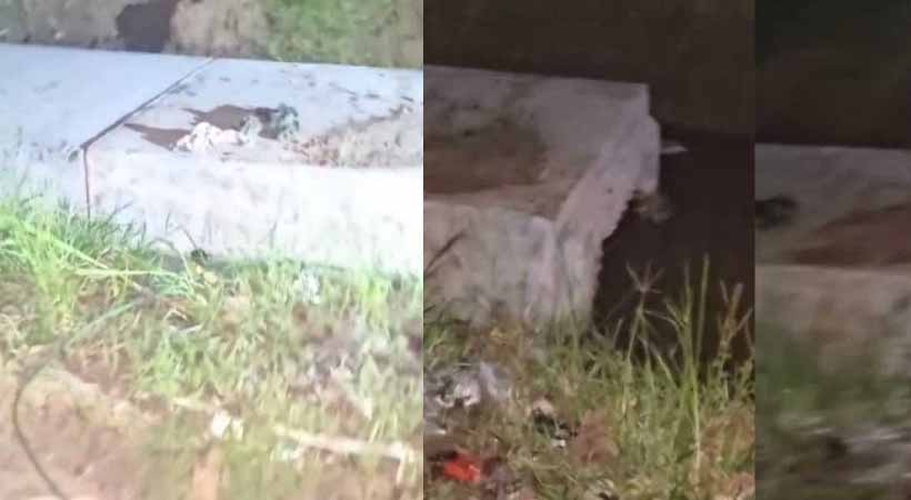 അപകട മുന്നറിയിപ്പില്ല: ദേശീയ പാതയ്ക്ക് സമീപത്തെ കുഴില് വീണ് യുവാവിന് ദാരുണാന്ത്യം