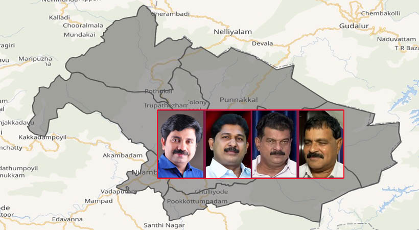 നിലമ്പൂരില് മത്സരിക്കുന്നത് 12 സ്ഥാനാര്ത്ഥികള്; അന്വറിന്റെ ആസ്തി 34 കോടി