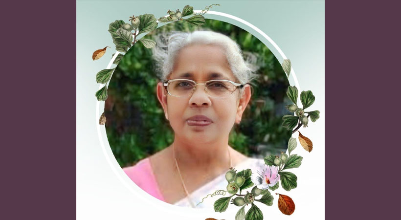 പെരുമാച്ചേരിൽ വല്യത്തിൽ ചാച്ചിയമ്മ കുര്യാക്കോസ് യുഎസിൽ നിര്യാതയായി, സംസ്കാരം കേരളത്തിൽ 31ന്