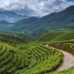 കേരളത്തിന്റെ സ്വന്തം മൂന്നാർ ഏഷ്യയിലെ മികച്ച വിനോദസഞ്ചാര കേന്ദ്രങ്ങളുടെ പട്ടികയിൽ