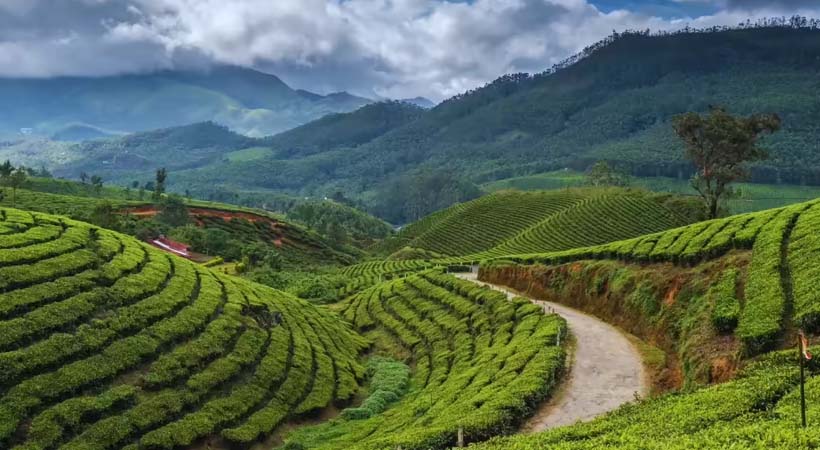 കേരളത്തിന്റെ സ്വന്തം മൂന്നാർ ഏഷ്യയിലെ മികച്ച വിനോദസഞ്ചാര കേന്ദ്രങ്ങളുടെ പട്ടികയിൽ
