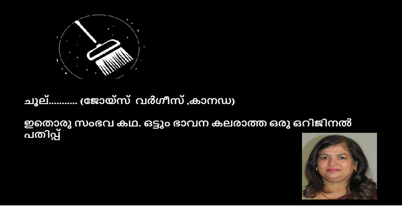 ചൂല്……….. (ജോയ്‌സ്  വർഗീസ് ,കാനഡ)   