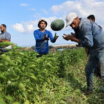 അമേരിക്കയില് കുടിയേറ്റത്തൊഴിലാളികളുടെ വര്ക്ക് പെര്മിറ്റ് പുതുക്കലിന് കൂടുതല് നിബന്ധന