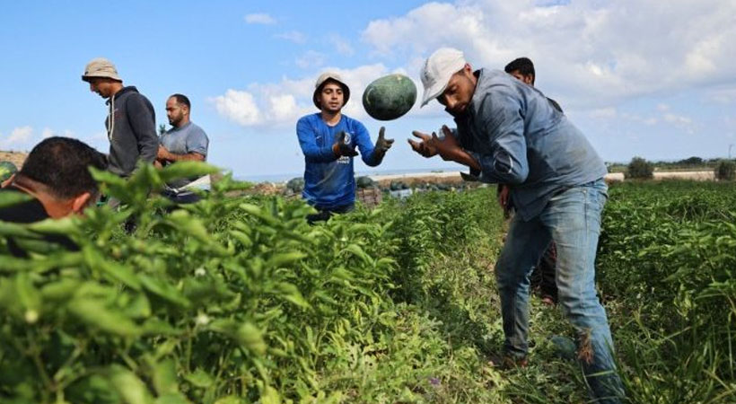 അമേരിക്കയില് കുടിയേറ്റത്തൊഴിലാളികളുടെ വര്ക്ക് പെര്മിറ്റ് പുതുക്കലിന് കൂടുതല് നിബന്ധന