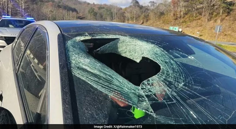 വിശ്വസിക്കാന്‍ പറ്റില്ല… പക്ഷേ വിശ്വസിച്ചേ പറ്റു…ആകാശത്തു നിന്നും കഴുകന്റെ കൈയില്‍ നിന്നും താഴേയ്ക്ക  പതിച്ച പൂച്ച കാറിന്റെ ഗ്ലാസ് തകര്‍ന്നു!