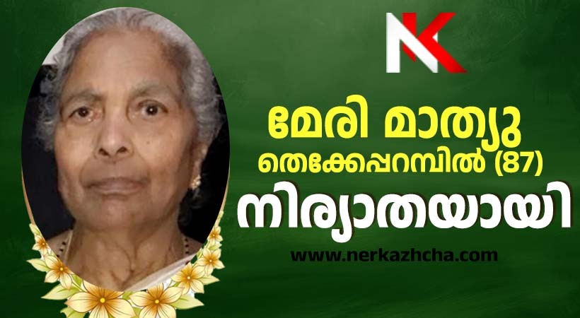 മേരി മാത്യു തെക്കേപ്പറമ്പിൽ (മങ്ക, 87) ചിക്കാഗോയിൽ നിര്യാതയായി