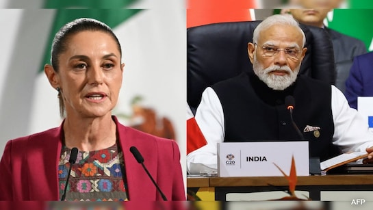 മെക്സിക്കോയുടെ 50% ഇറക്കുമതി തീരുവ വർധന; ഉചിതമായ നടപടികൾ സ്വീകരിക്കുമെന്ന് ഇന്ത്യ