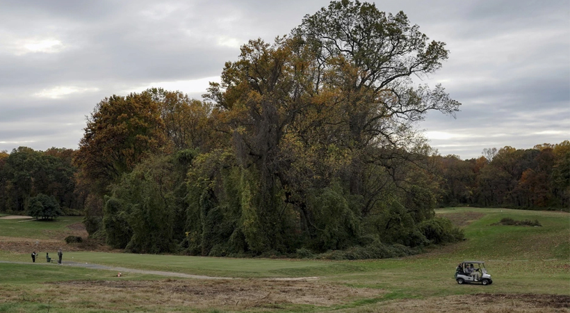 വാഷിംഗ്ടണിലെ മൂന്നു ഗോള്‍ഫ് കോഴ്‌സുകളുടെ പാട്ടക്കരാര്‍ ട്രംപ് ഭരണകൂടം നിര്‍ത്തലാക്കുന്നു
