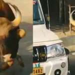 മറയൂരില്‍ പഞ്ചായത്ത് ഓഫീസില്‍ കാട്ടുപോത്ത് കയറി