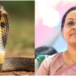 പാമ്പുകടിയേറ്റാൽ 108 ൽ വിളിച്ചാൽ മതി; ആന്റി വെനം ഉള്ള ആശുപത്രികളിൽ ചികിത്സ ഉറപ്പാക്കാൻ നടപടി കൈക്കൊണ്ടെന്ന് ആരോഗ്യവകുപ്പ്