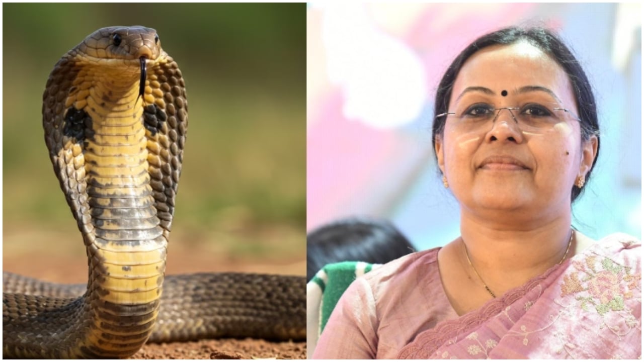 പാമ്പുകടിയേറ്റാൽ 108 ൽ വിളിച്ചാൽ മതി; ആന്റി വെനം ഉള്ള ആശുപത്രികളിൽ ചികിത്സ ഉറപ്പാക്കാൻ നടപടി കൈക്കൊണ്ടെന്ന് ആരോഗ്യവകുപ്പ്