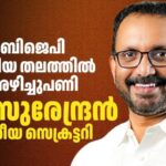 ബി.ജെ.പിയിൽ വൻ അഴിച്ചുപണി: കെ. സുരേന്ദ്രൻ ദേശീയ സെക്രട്ടറി; അനിൽ ആന്റണിയും തുടരും