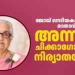 അന്നമ്മ നെടിയകാലായിൽ ചിക്കാഗോയിൽ നിര്യാതയായി