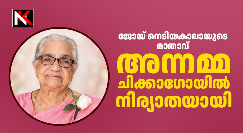 അന്നമ്മ നെടിയകാലായിൽ ചിക്കാഗോയിൽ നിര്യാതയായി